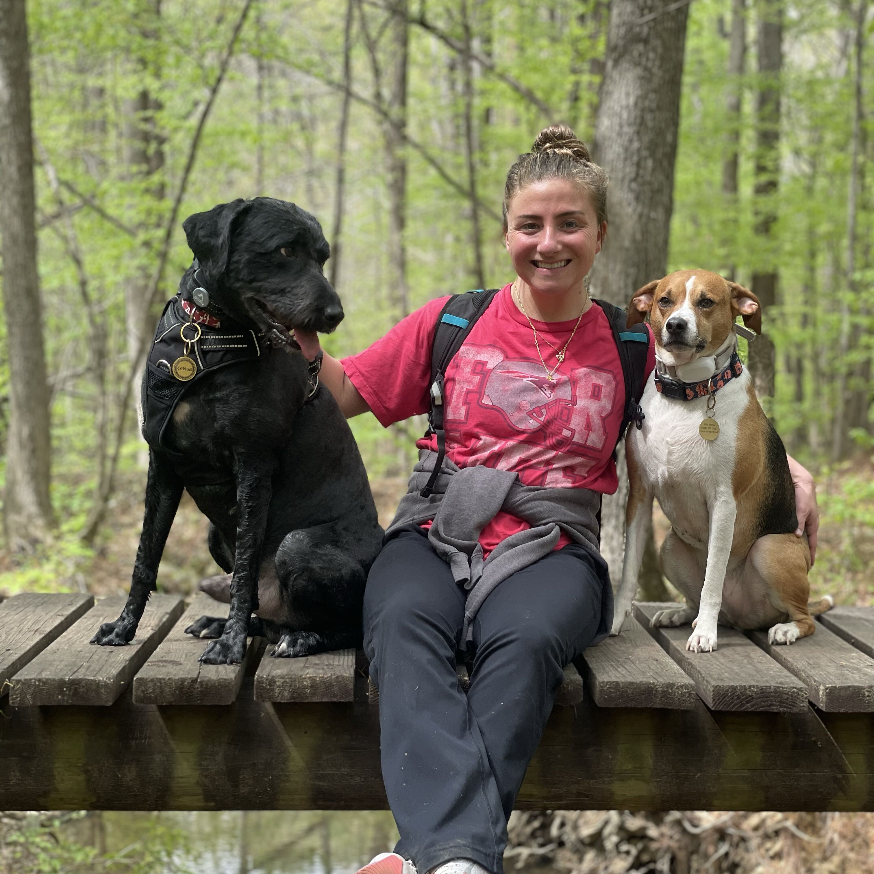 Picture of Oak mountain state park