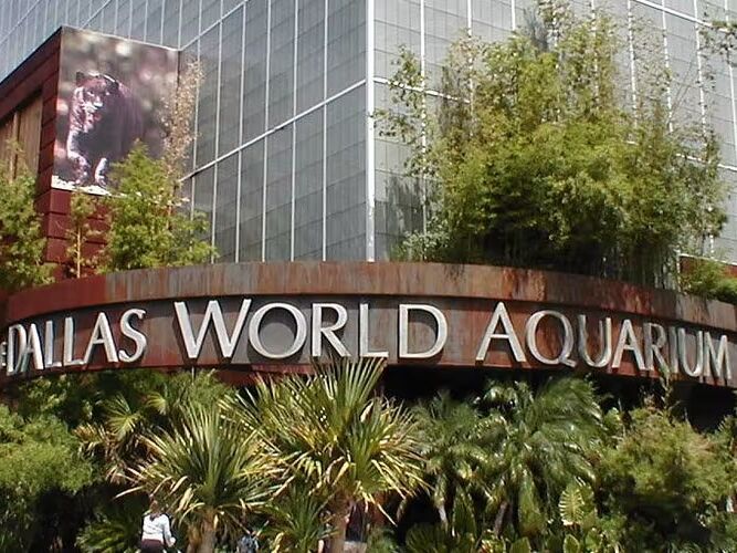 Picture of The Dallas World Aquarium