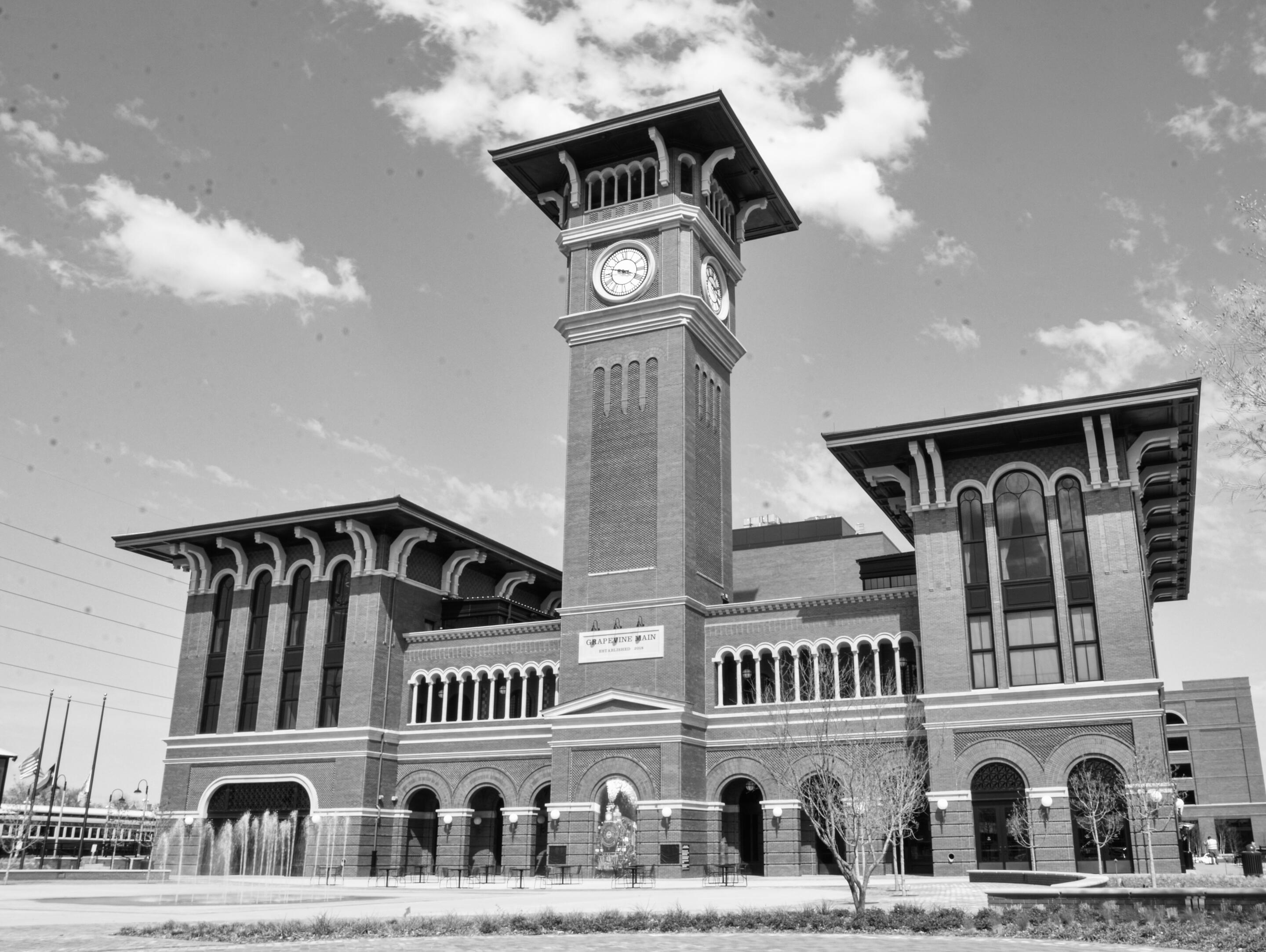Picture of Grapevine Main