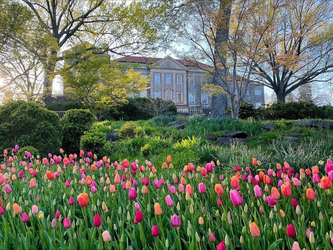Picture of Cheekwood Botanical Gardens & Estate