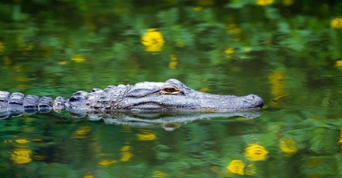 Picture of Everglades Holiday Park Airboat Tours and Rides