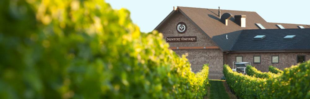 Picture of Newport Vineyards