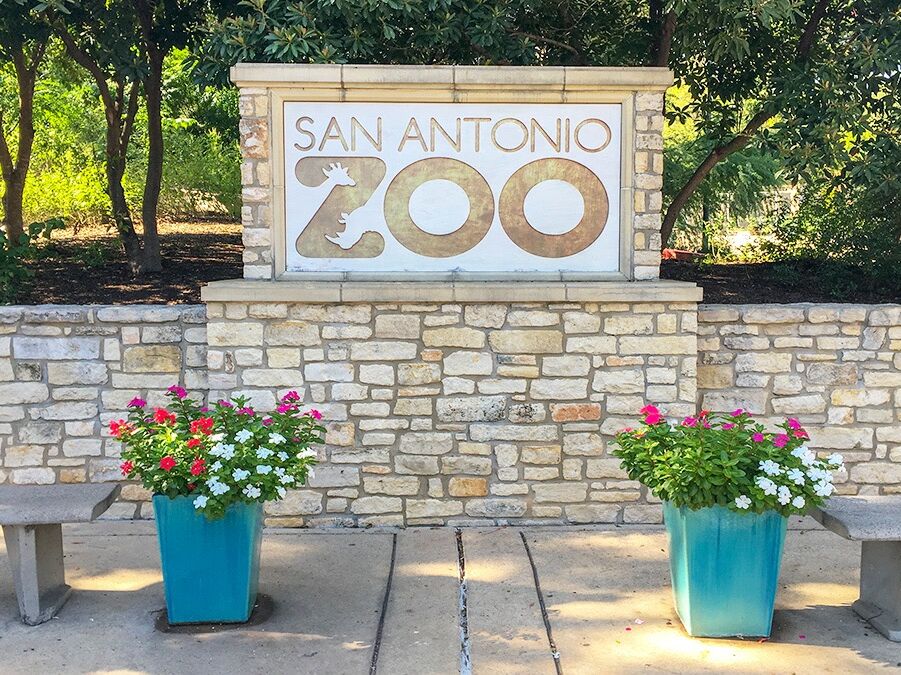 Picture of San Antonio Zoo