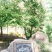 A simply framed chalkboard sign welcomed guests to the outdoor event in Verdi, Nevada.
