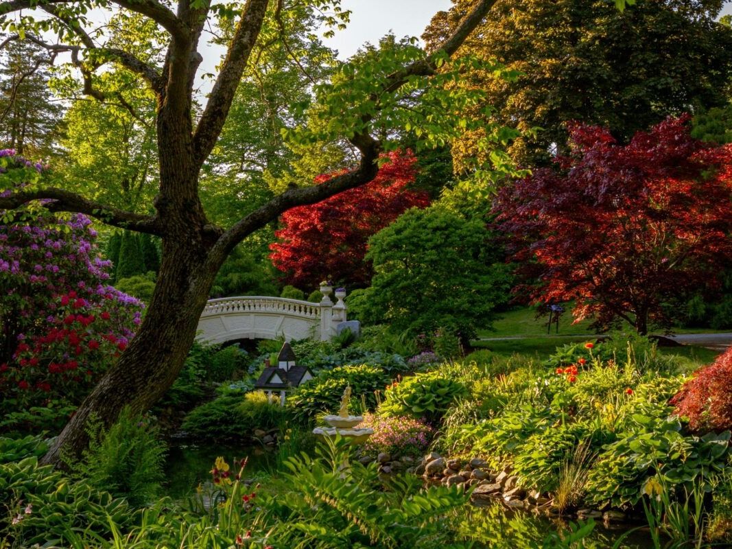 Picture of Halifax Public Gardens