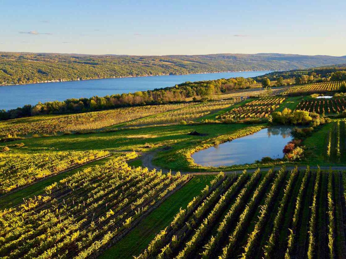 Picture of Dr. Konstantin Frank Winery - Keuka Lake