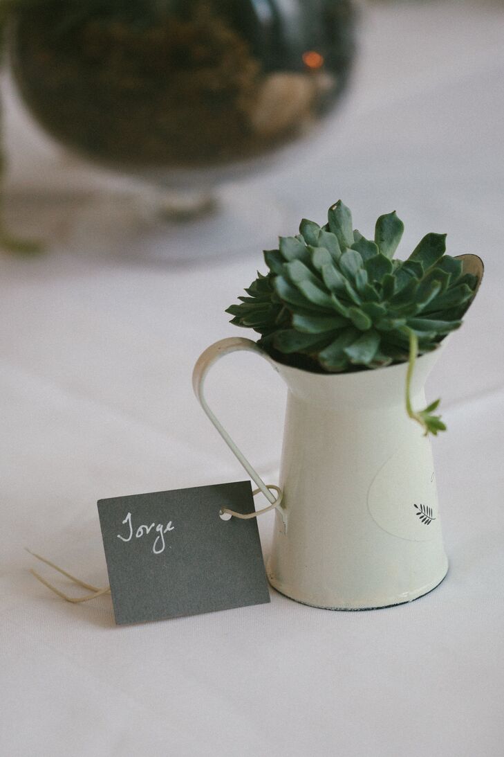 Succulent Favors