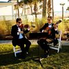 An Intimate Beach Wedding in Sarasota, FL