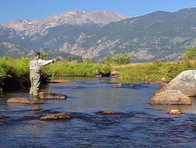 Picture of Fly Fishing 