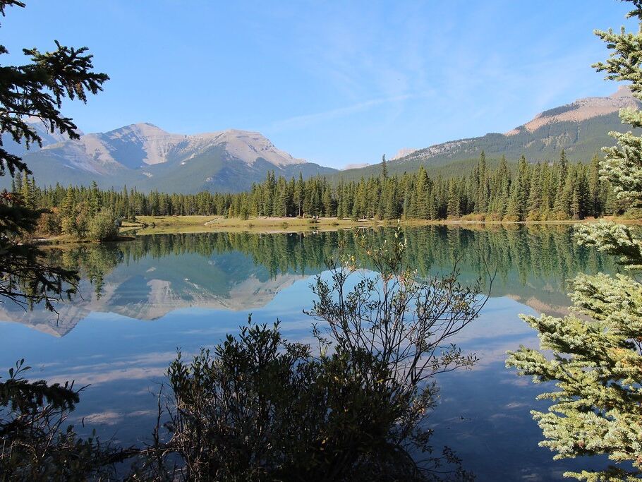 Picture of Forgetmenot Pond