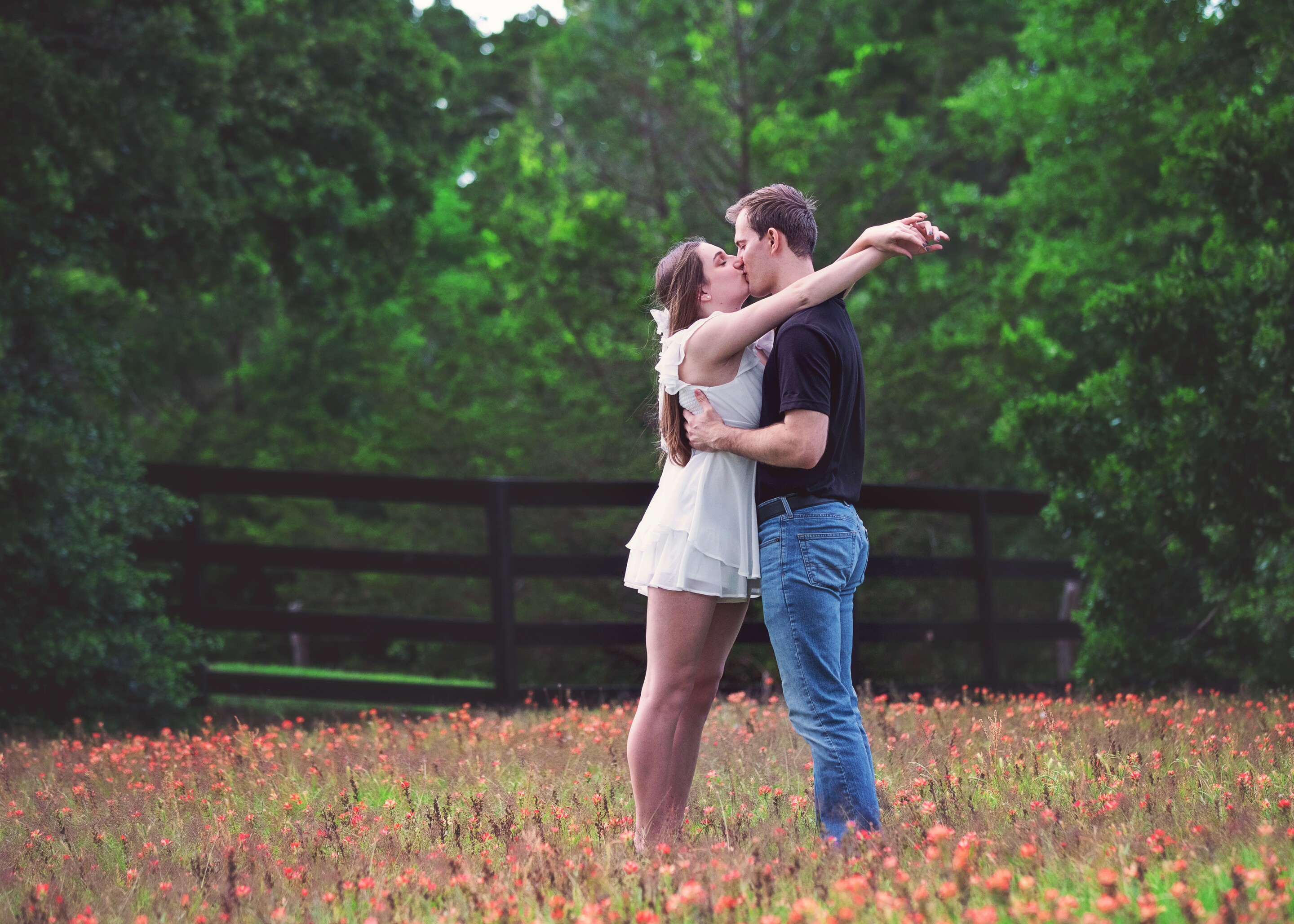 Paris & Brandon Home Page Banner