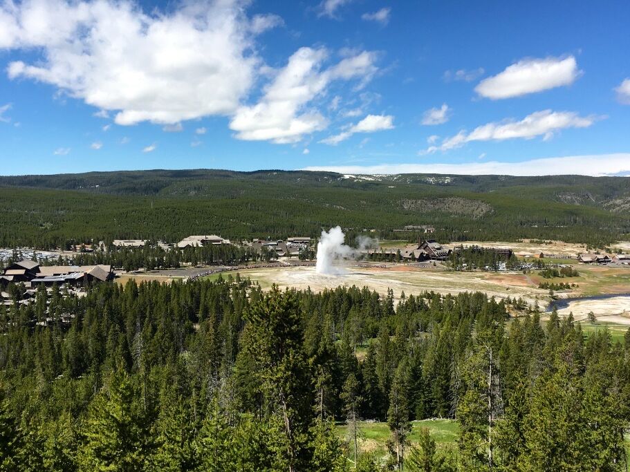 Picture of Old Faithful