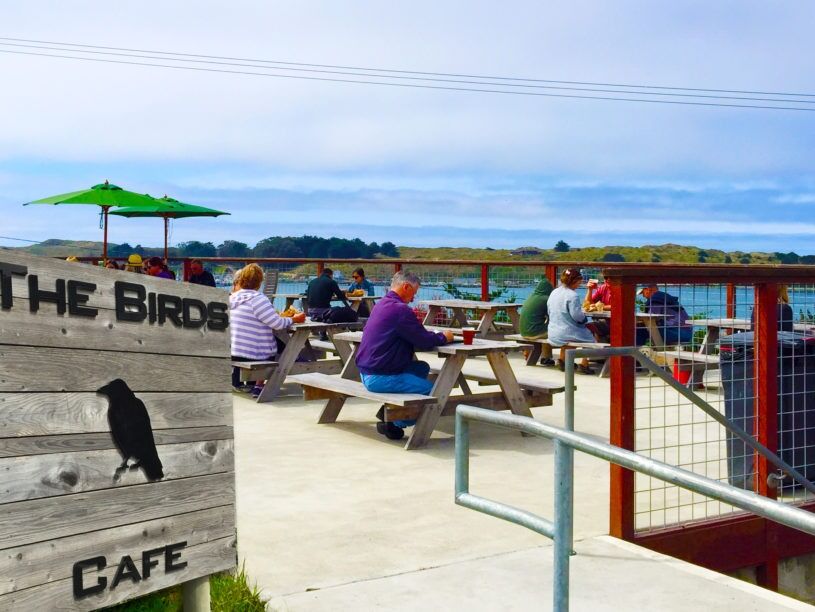 Picture of The Birds Cafe