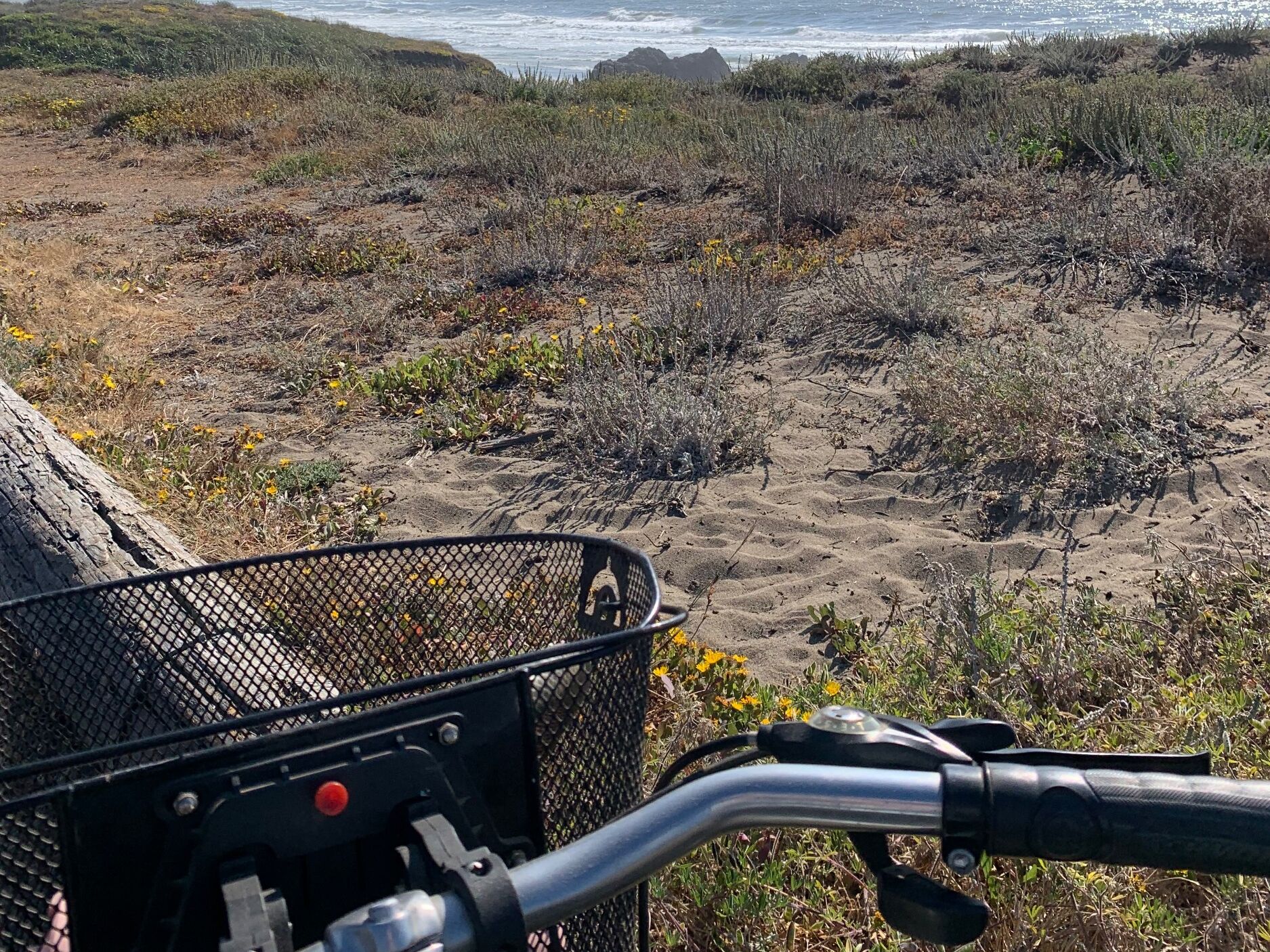 Picture of Fort Bragg Cyclery