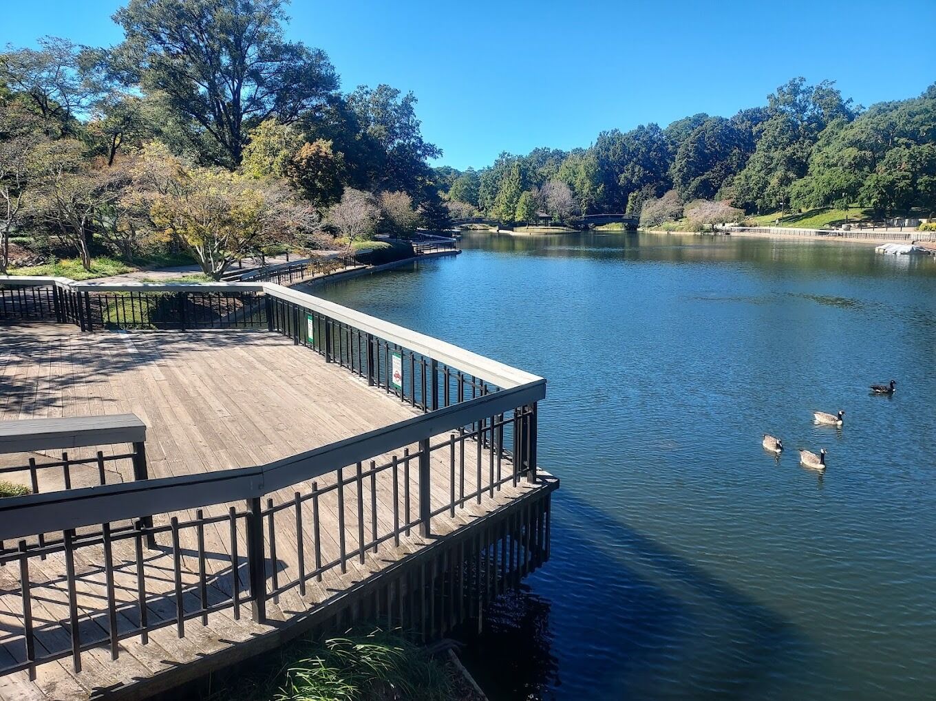 Picture of Pullen Park