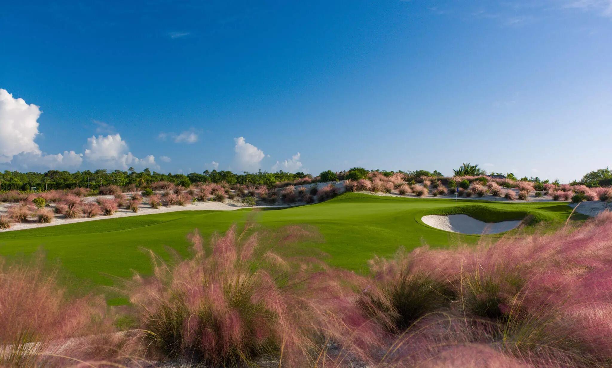 Picture of Golfing at the Albany Golf Course