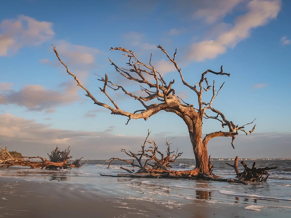 Picture of Jekyll Island