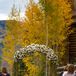 Emily and Chris were married beneath an elegant wedding arch decorated with white and ivory blooms and accents of greenery.