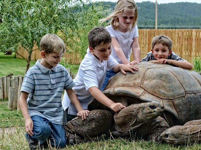 Picture of Reptile Gardens