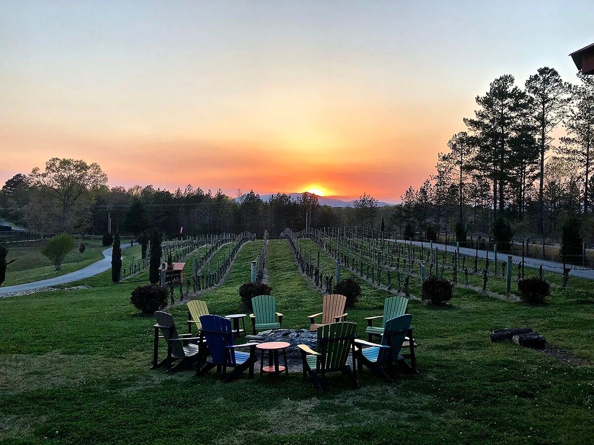 Picture of Overmountain Vineyards