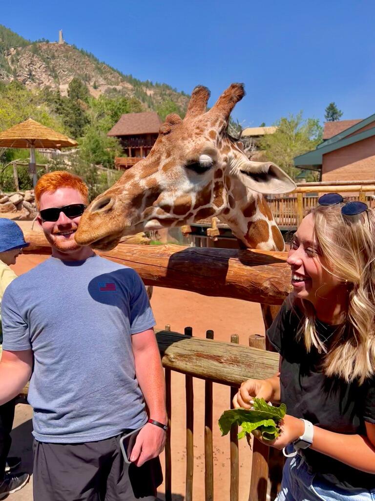 Picture of Cheyenne Mountain Zoo