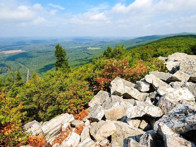 Picture of Hawk Mountain Sanctuary