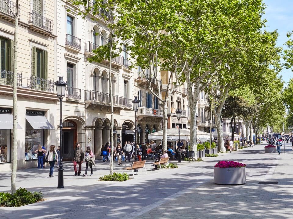 Picture of PASEO DE GRACIA