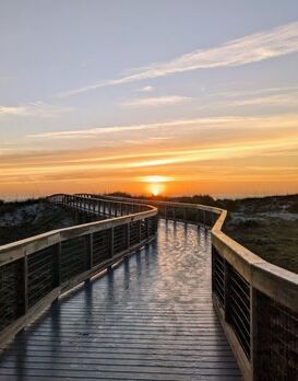 Picture of Smyrna Dunes Park