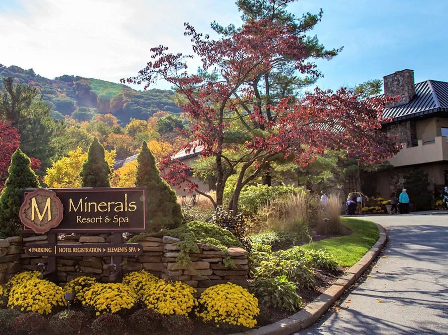 Picture of Minerals Hotel