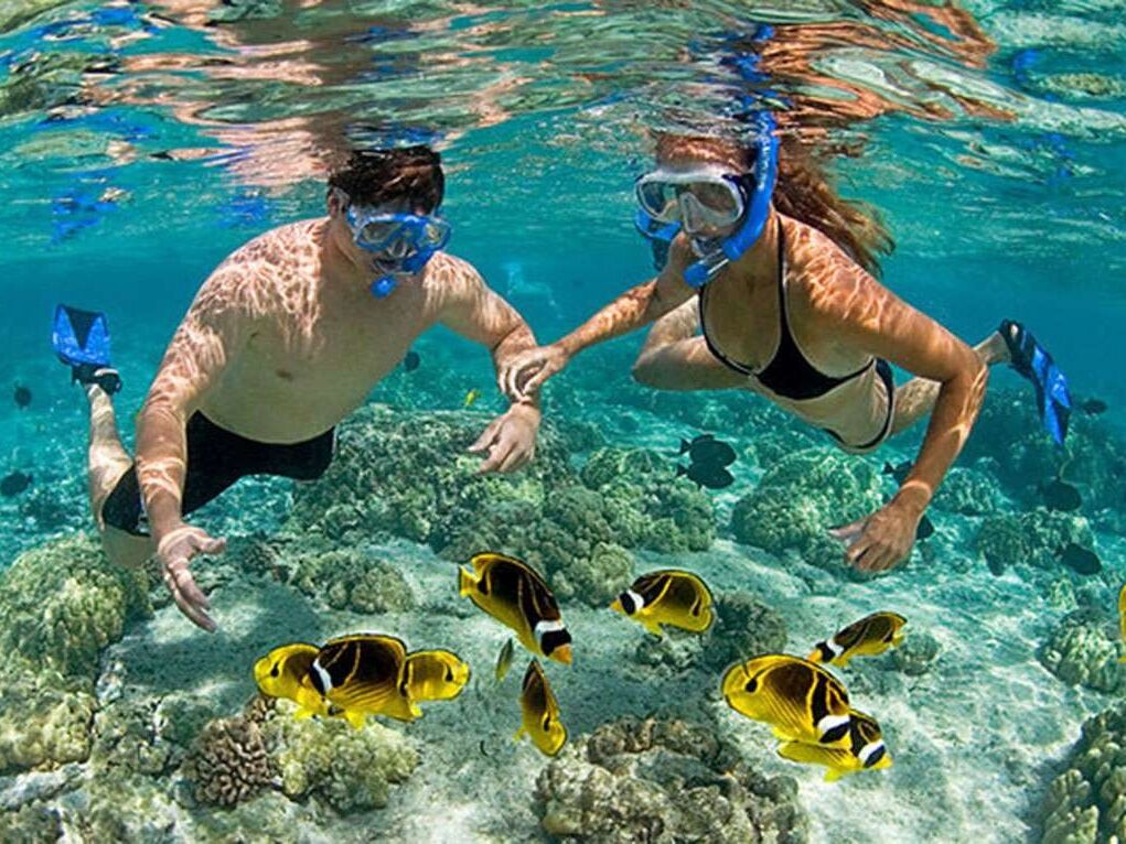 Picture of Boat day and Snorkeling tour. 