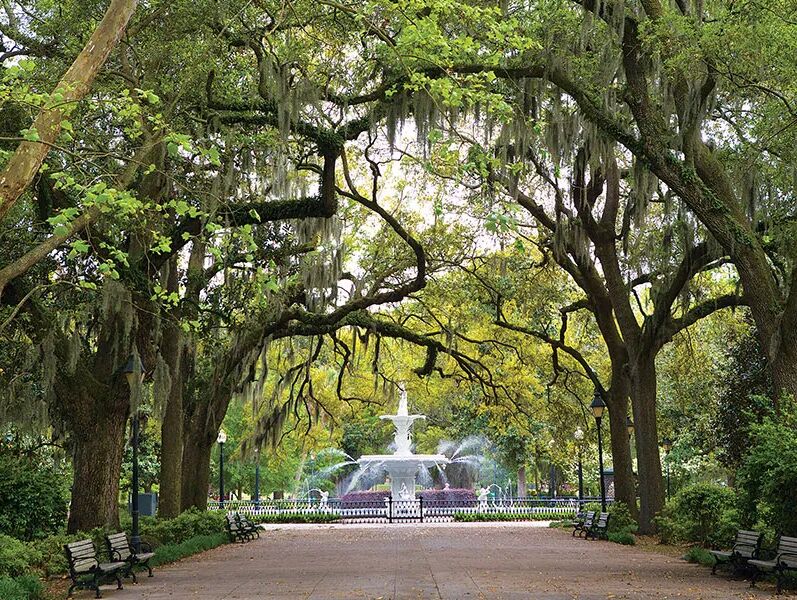 Picture of Forsyth Park