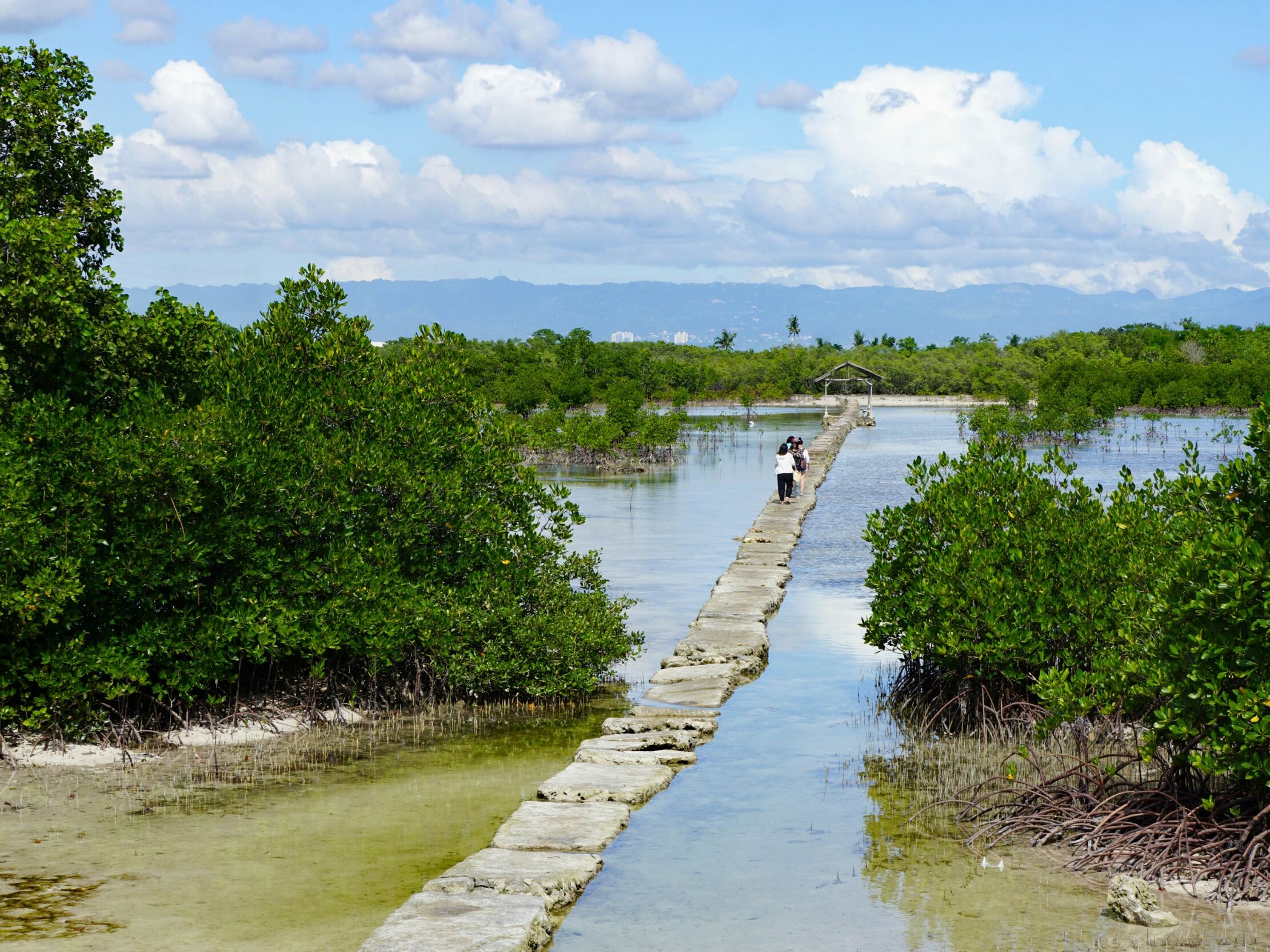 Picture of Join a Birdwatching Tour in Olango Island  