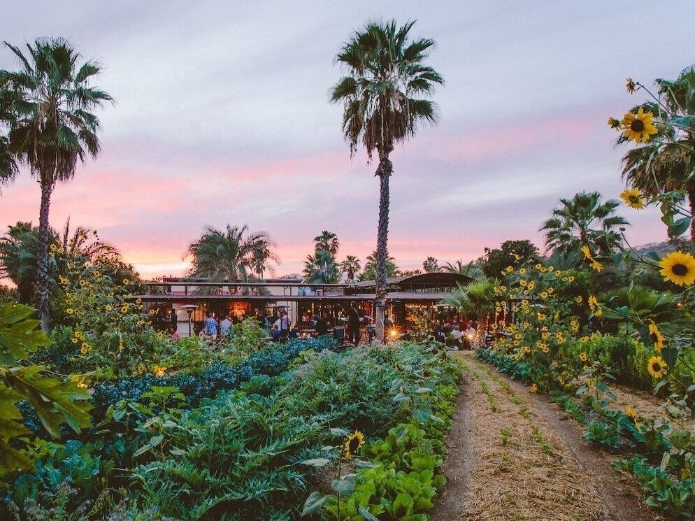 Picture of Flora Farms