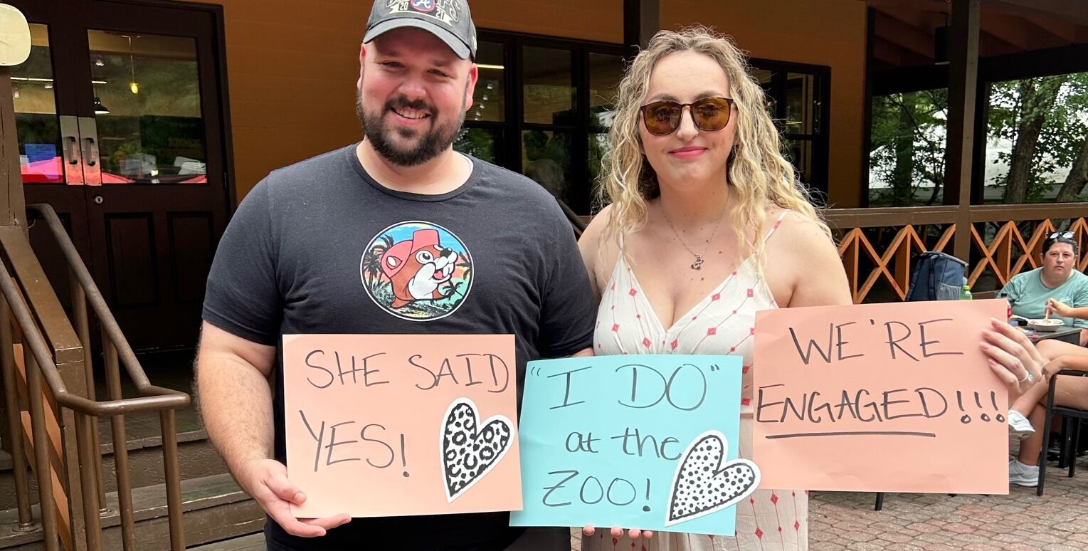 Picture of The Proposal