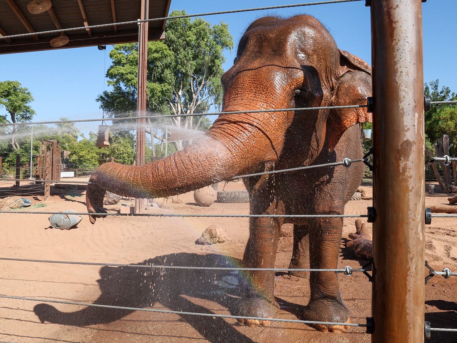 Picture of Phoenix Zoo