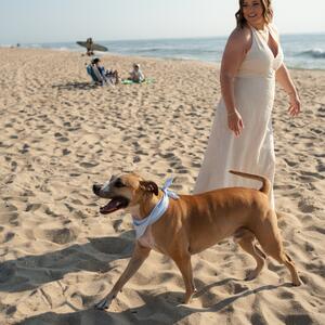 Gallery Photo 21