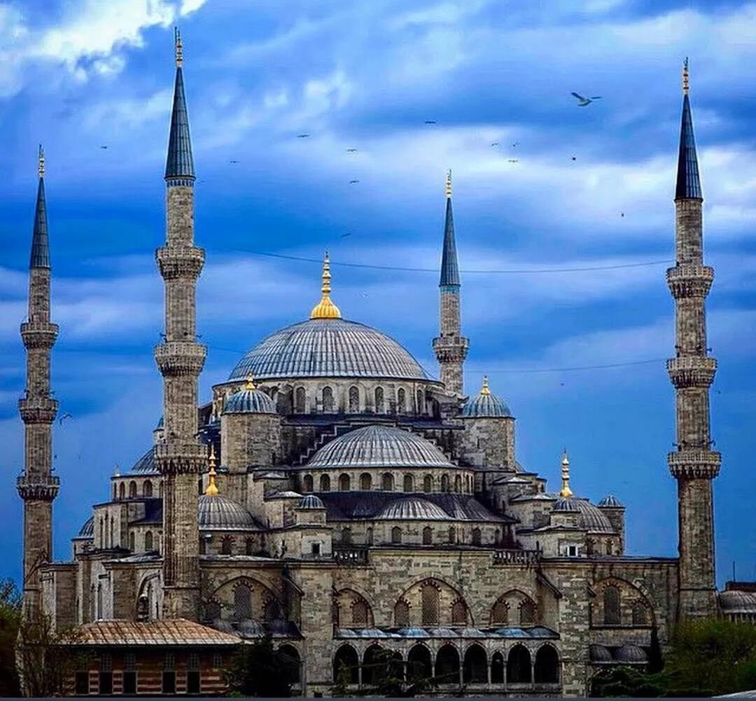 Picture of The Blue Mosque