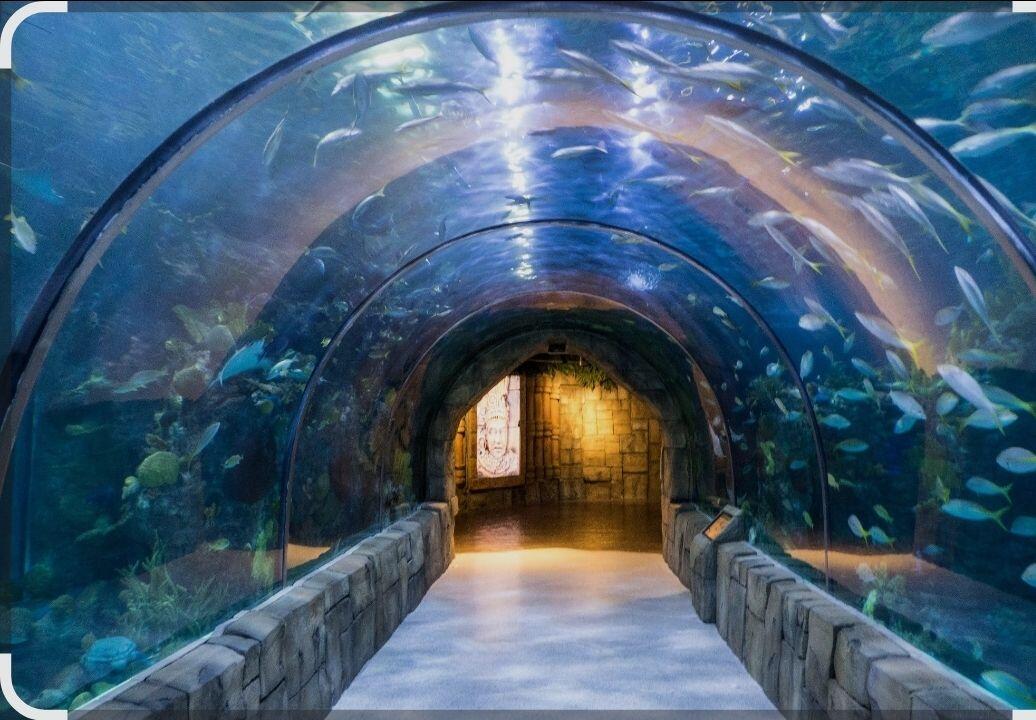 Picture of Audubon Aquarium