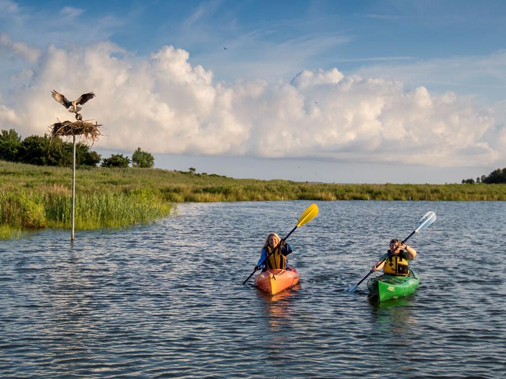 Picture of Enjoy the Water