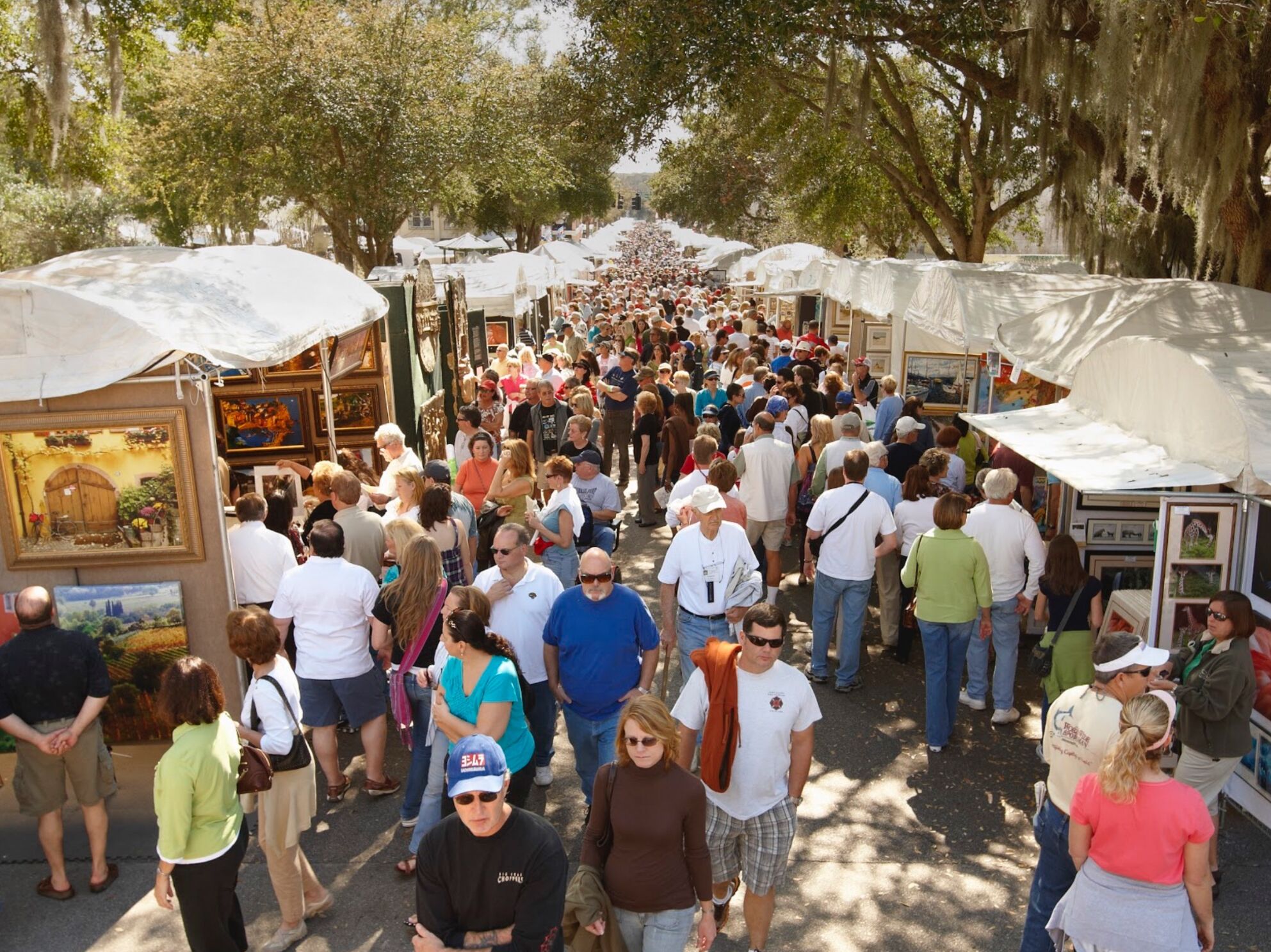 Picture of Mount Dora Arts Festival