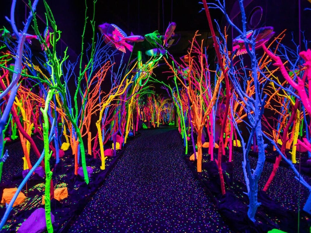 Picture of Meow Wolf Santa Fe