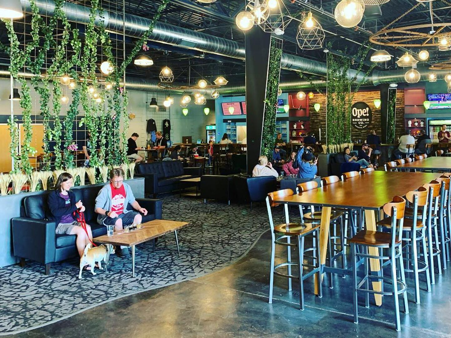 Picture of OPE! Brewing Co.