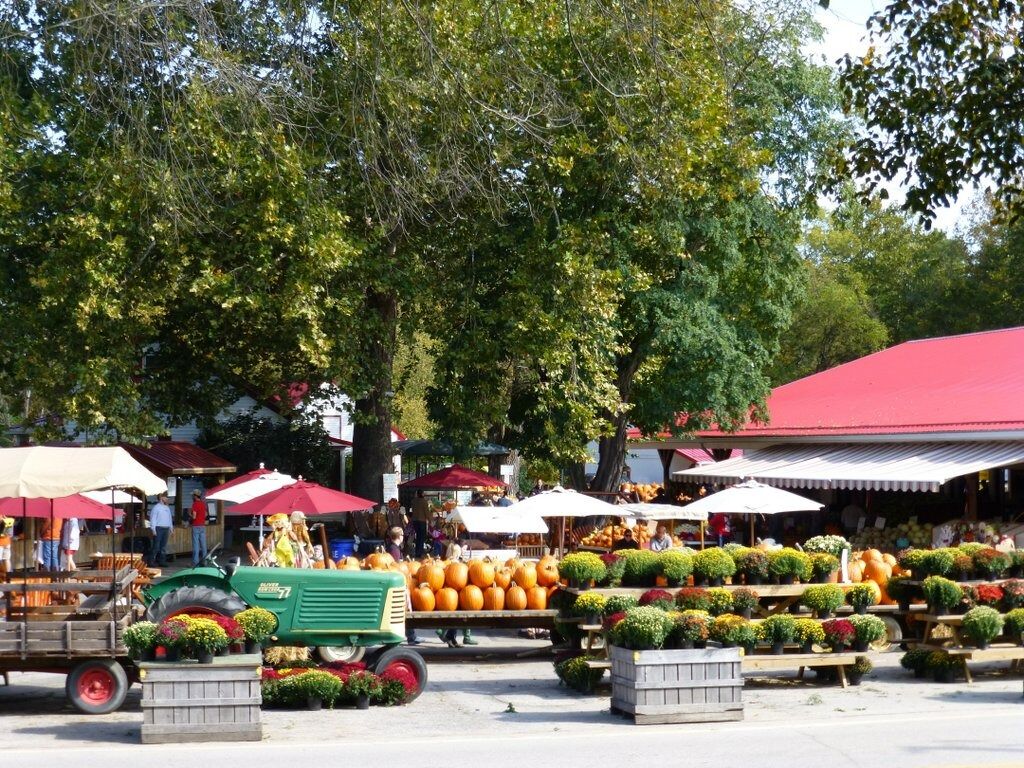 Picture of Szalay's Farm & Market