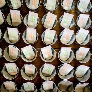 Seed and Bucket Favors