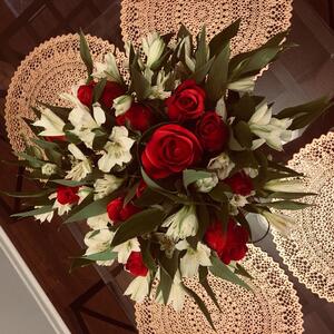 Gallery Photo 481