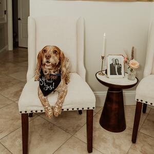 Gallery Photo 8