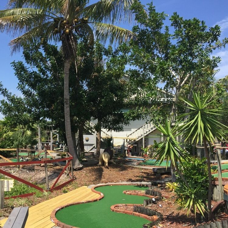 Picture of Safari Golf and Games
