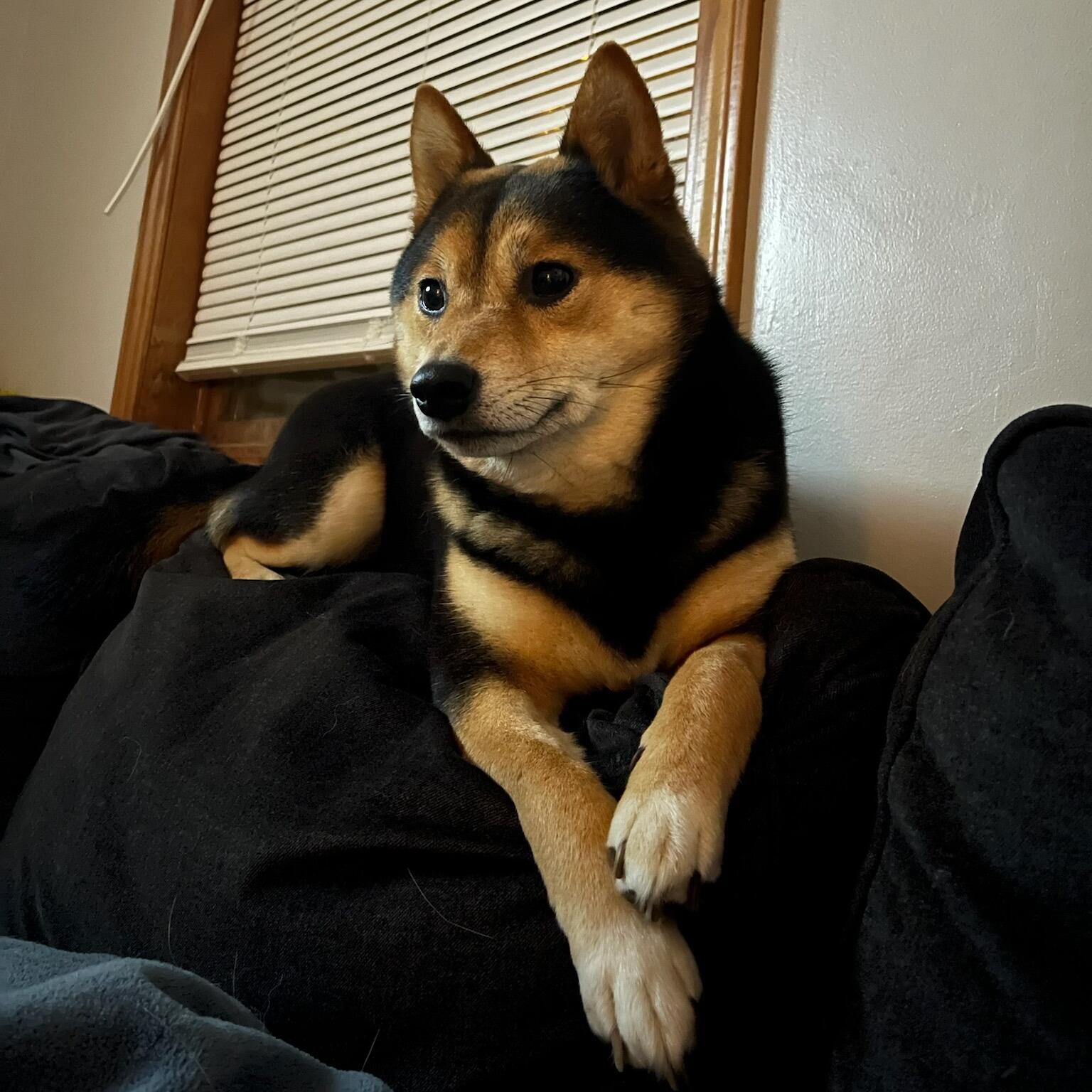 Nova