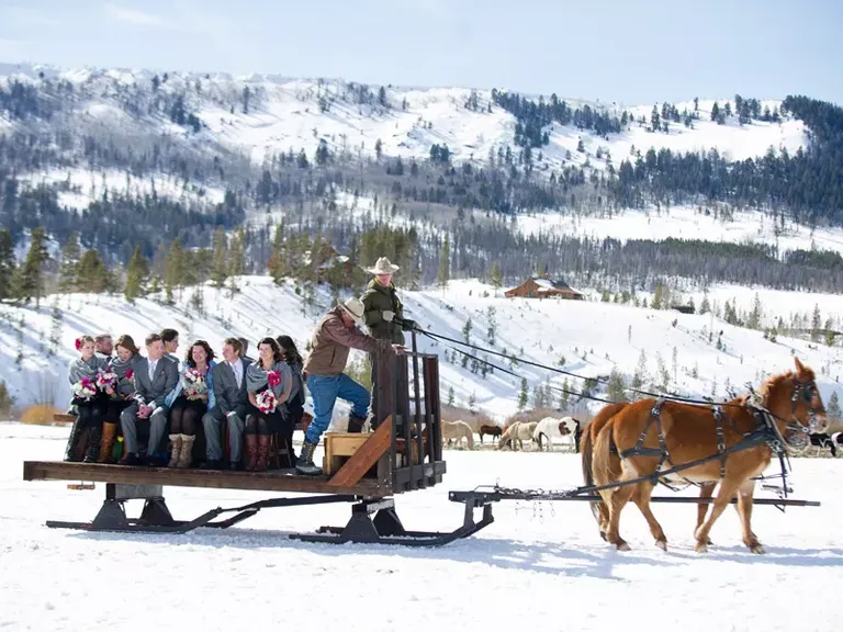 Winter Wedding Sleigh Ride