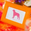A Colorful Capitol Wedding in Washington, DC